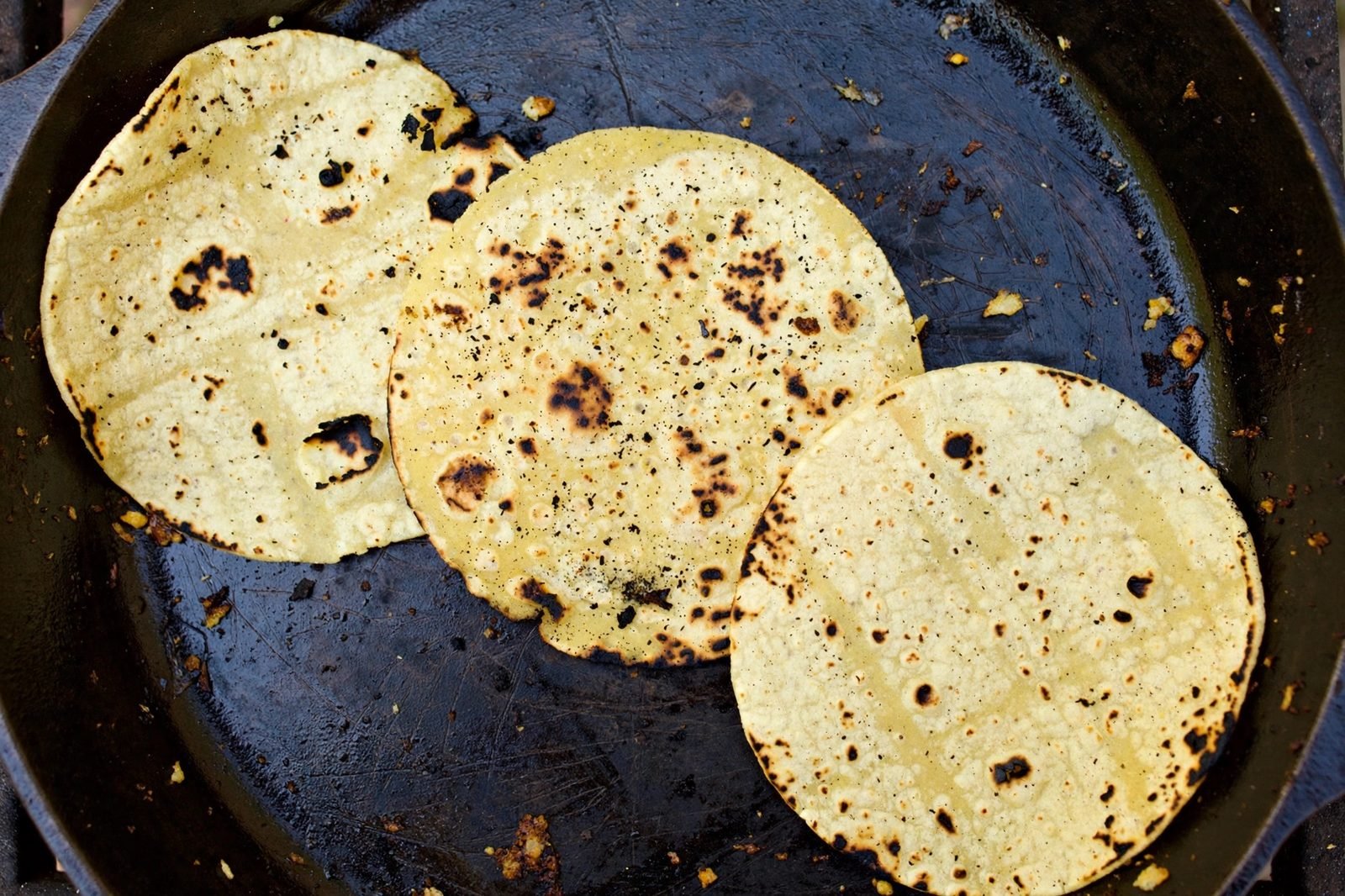 Corn tortillas warming in a hot skillet with char spots forming.